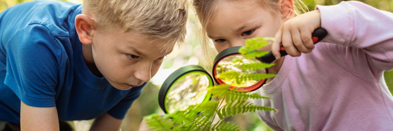 Zajęcia ekologiczne