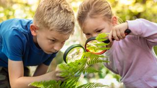 Zajęcia ekologiczne