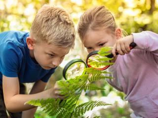 Zajęcia ekologiczne